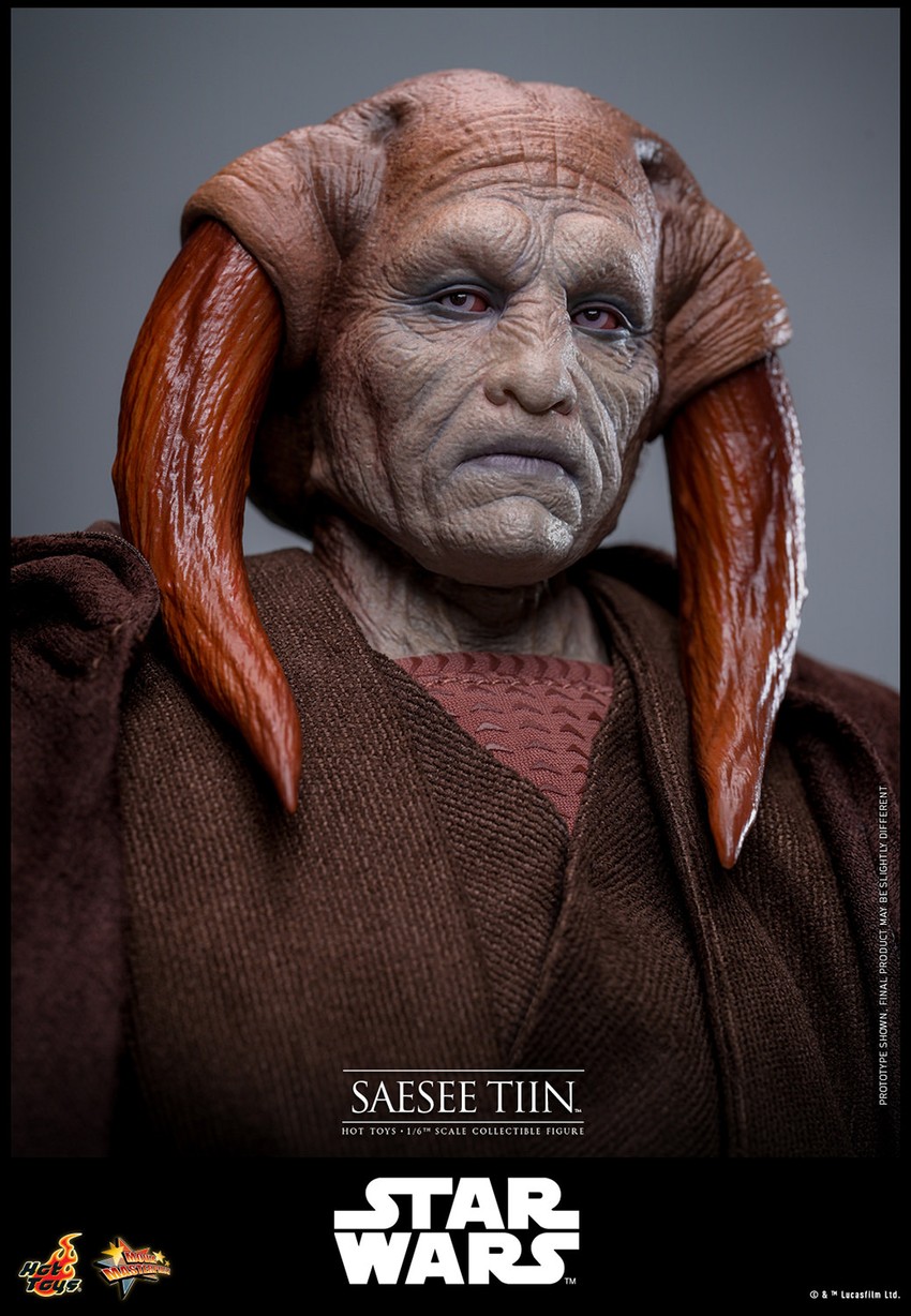 Star Wars Saesee Tiin™ Sixth Scale Figure - Prototype Shown View 5