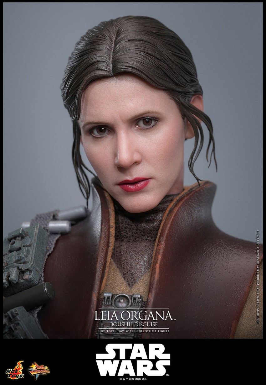 Leia Organa (Boushh Disguise)™ Sixth Scale Figure by Hot Toys