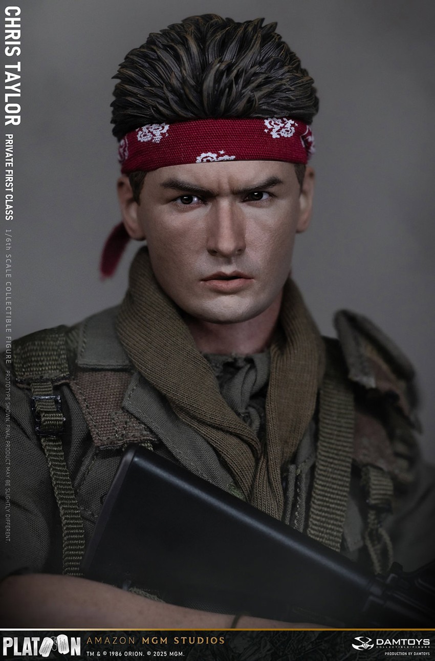 Platoon Chris Taylor Sixth Scale Figure - Prototype Shown View 6