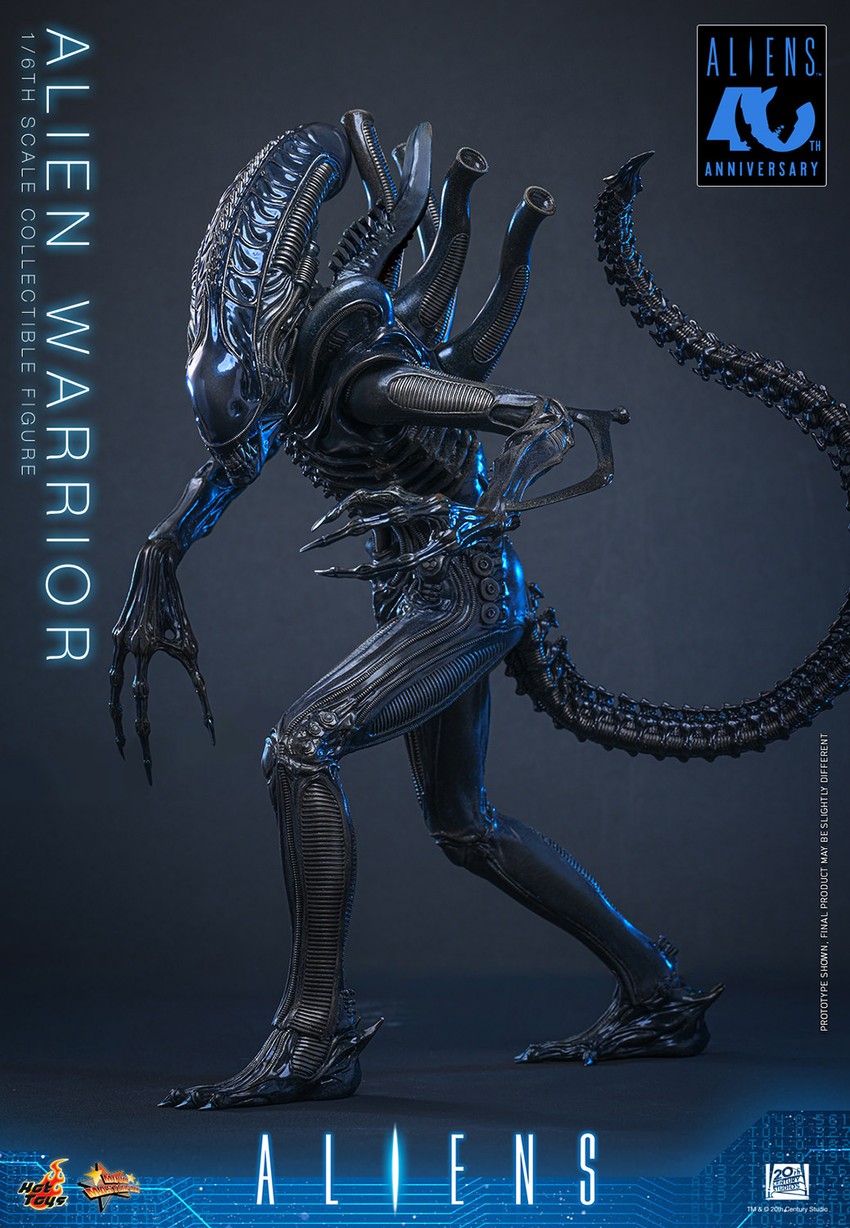 Alien Warrior Sixth Scale Figure by Hot Toys | Sideshow Collectibles