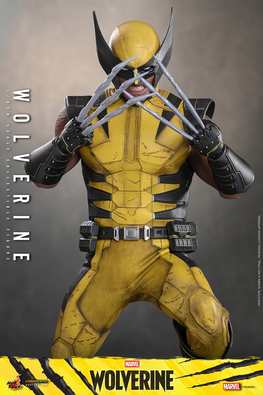 Marvel Wolverine Sixth Scale Figure  Collector Edition - Prototype Shown View 5