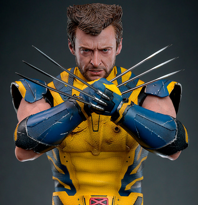 Wolverine Sixth Scale Figure