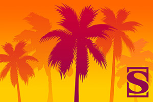 giftcard-palms