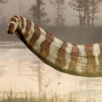 Apatosaurus Statue