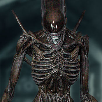 Alien Covenant Xenomorph Life Size Head Prop Replica By Coo