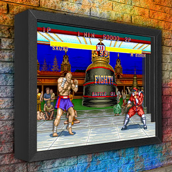 Street Fighter M. Bison vs. Sagat Shadow box art