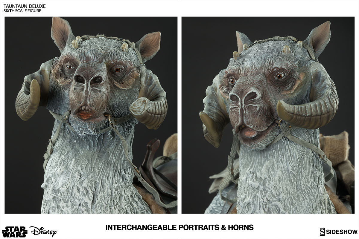 sideshow collectibles tauntaun