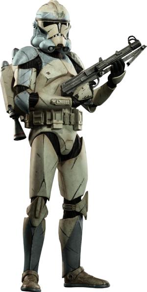 Wolfpack Clone Trooper: 104th Battalion Sixth Scale Figure