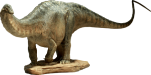 Apatosaurus Maquette