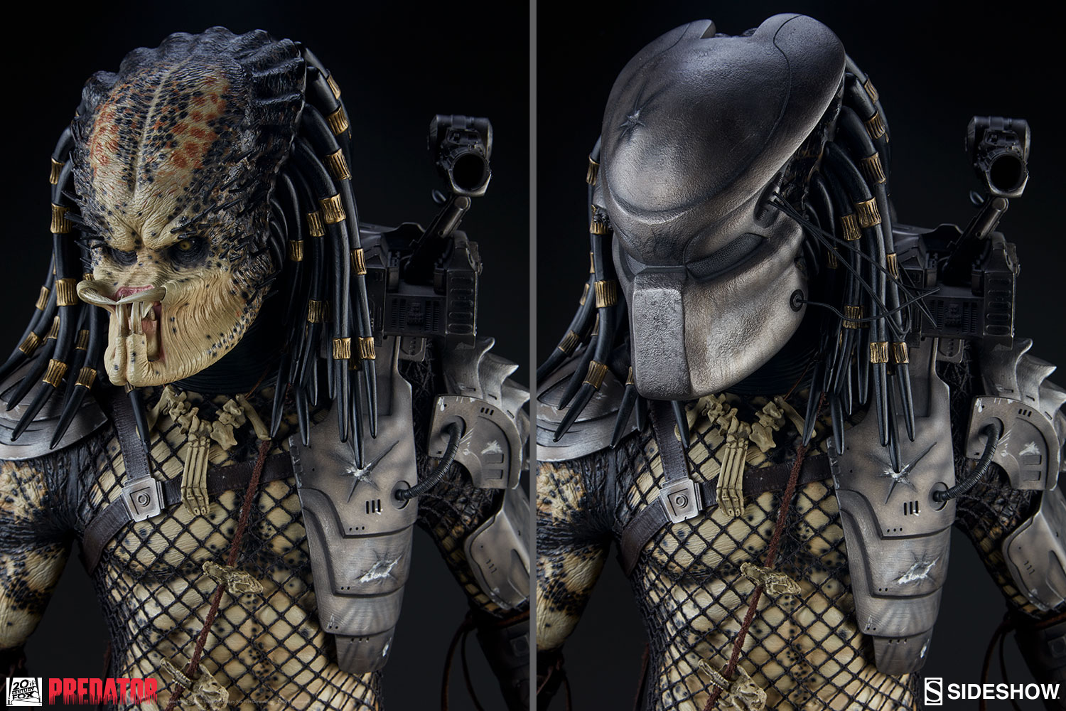 the jungle hunter predator