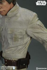 Gallery Image of Luke Skywalker Premium Format™ Figure