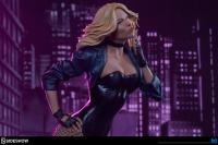 Gallery Image of Black Canary Premium Format™ Figure