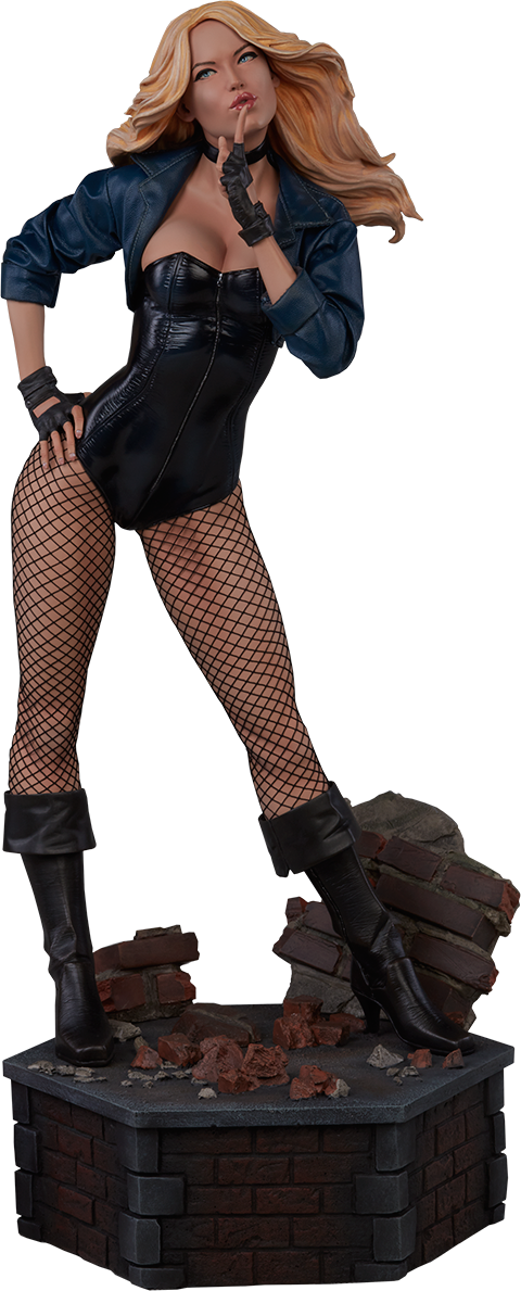 Sideshow Collectibles Black Canary Premium Format™ Figure