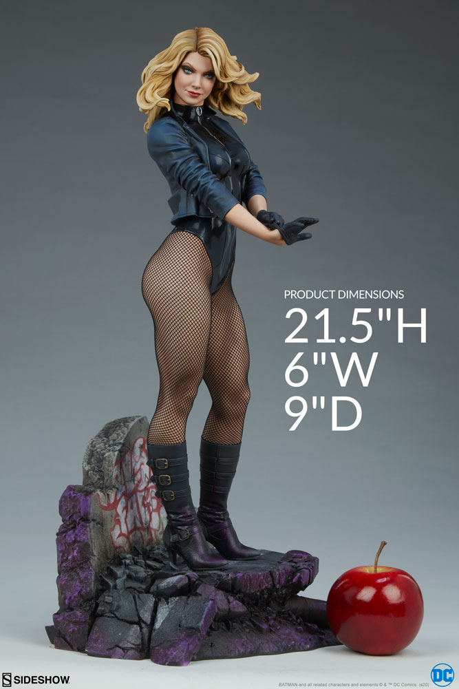 Black Canary Premium Format Figure Black-canary_dc-comics_gallery_5fb6c892b14cb