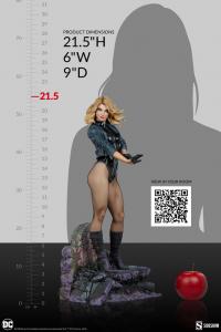 Gallery Image of Black Canary Premium Format™ Figure