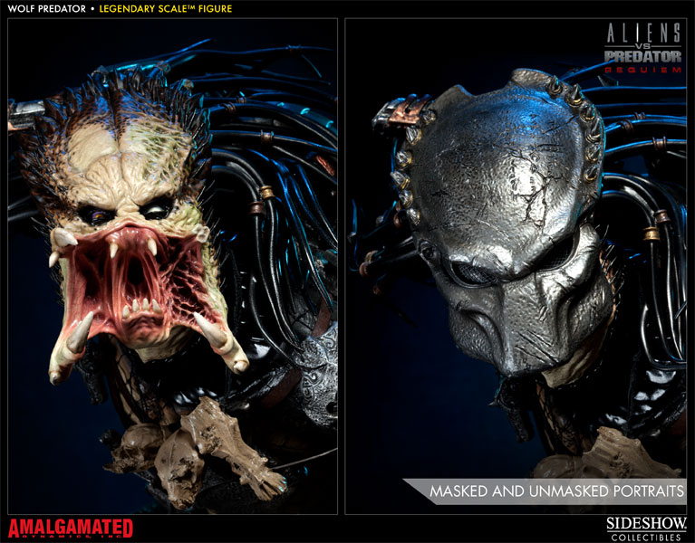 sideshow wolf predator legendary scale