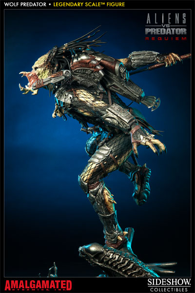 sideshow wolf predator legendary scale