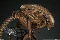 Gallery Image of Alien Warrior - Mythos Maquette