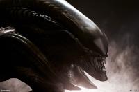 Gallery Image of Alien Xenomorph Parasite Mythos Legendary Scale™ Bust