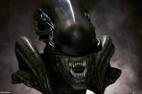Gallery Image of Alien Xenomorph Parasite Mythos Legendary Scale™ Bust