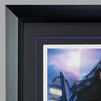 Huntress Birds of Prey art print
