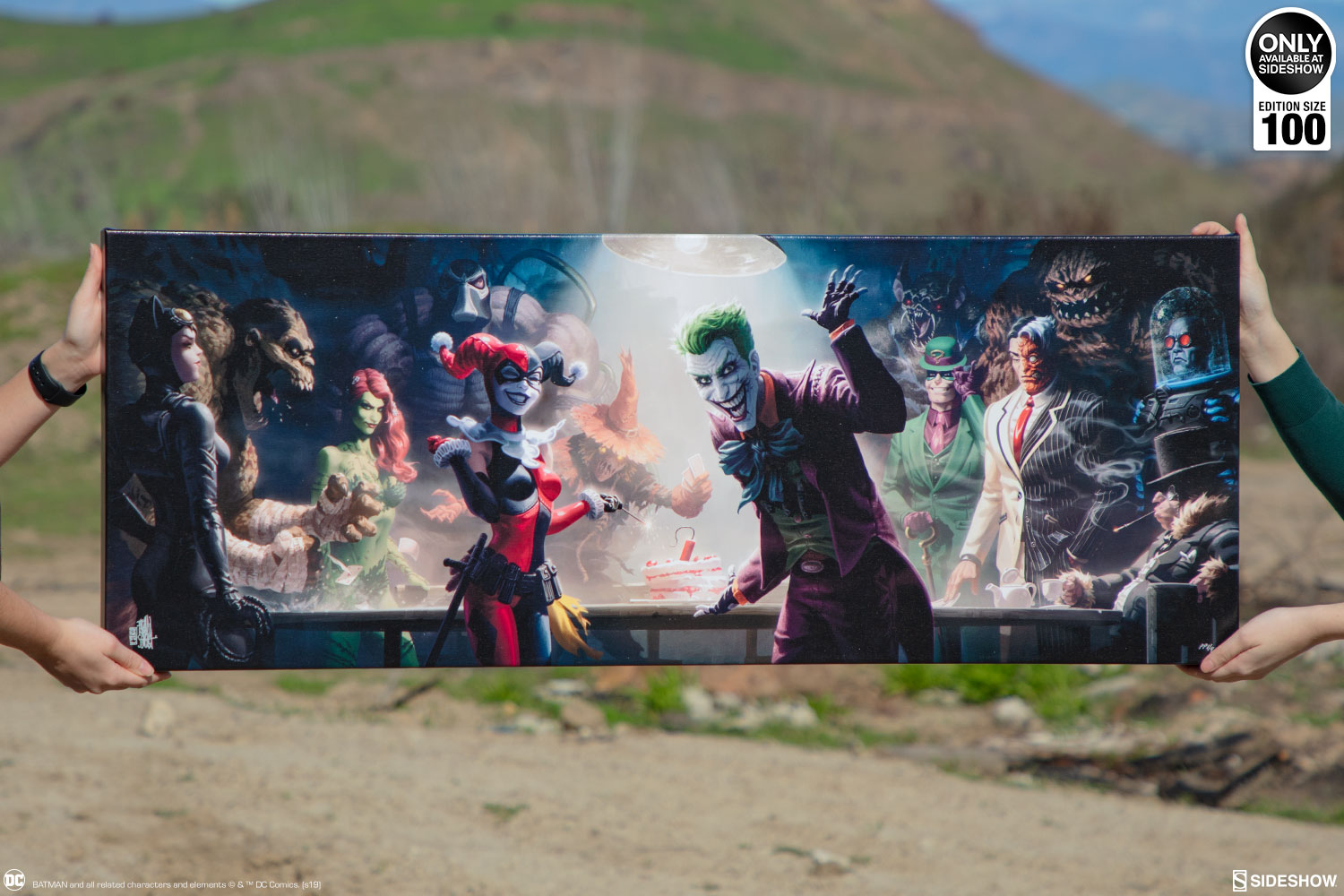 dc collectibles rogues gallery