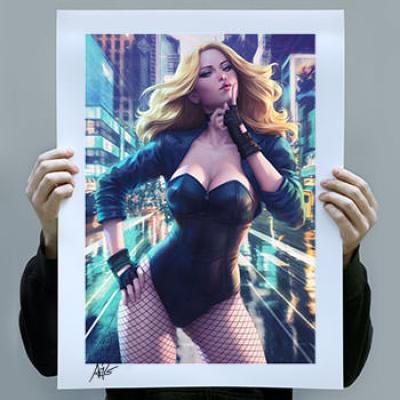 Black Canary Birds of Prey art print