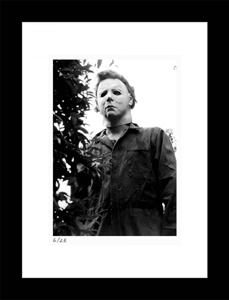 Behind the Hedge Art Print by Classic Stills