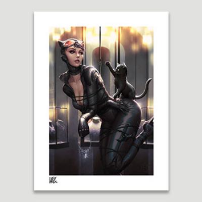 Catwoman: All Tied Up art print