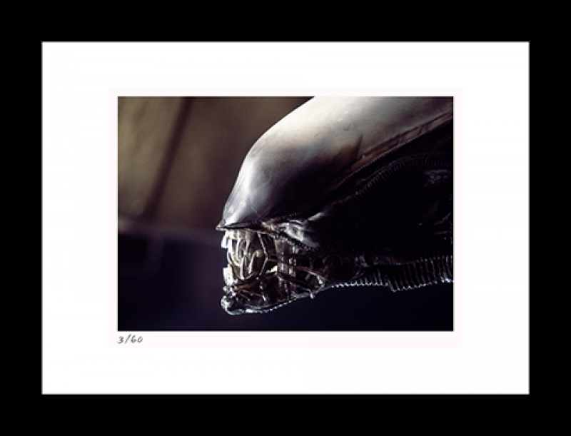 Alien Art Print by Classic Stills