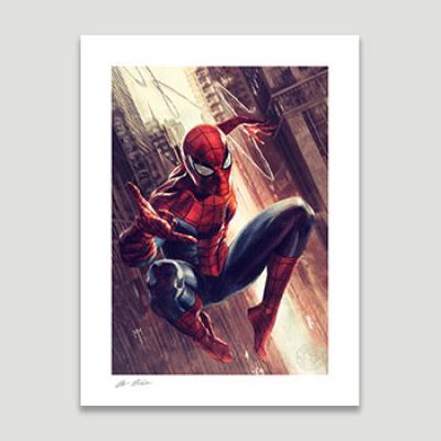 The Amazing Spider-Man art print