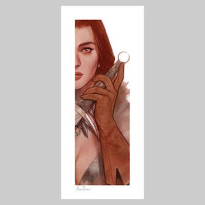 Vampirella & Red Sonja: Red Sonja art print