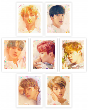 Set of 7 - Unframed - 9.5 x 12 Giclée on Paper