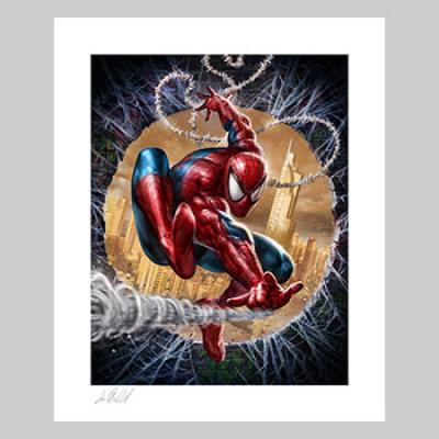 The Amazing Spider-Man #301 Tribute art print