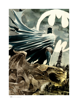 Batman™: Streets of Gotham Art Print