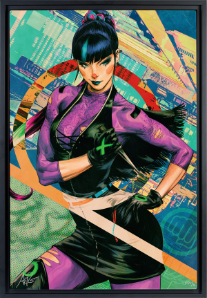 HD Aluminum - Black Frame - 16 x 24