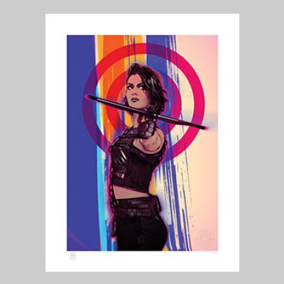 Birds of Prey: Huntress art print