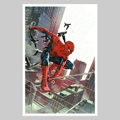 Non-Stop Spider-Man #5 (Variant Edition) art print