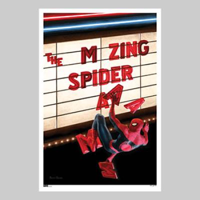 The Amazing Spider-Man #665 (Variant Edition) art print