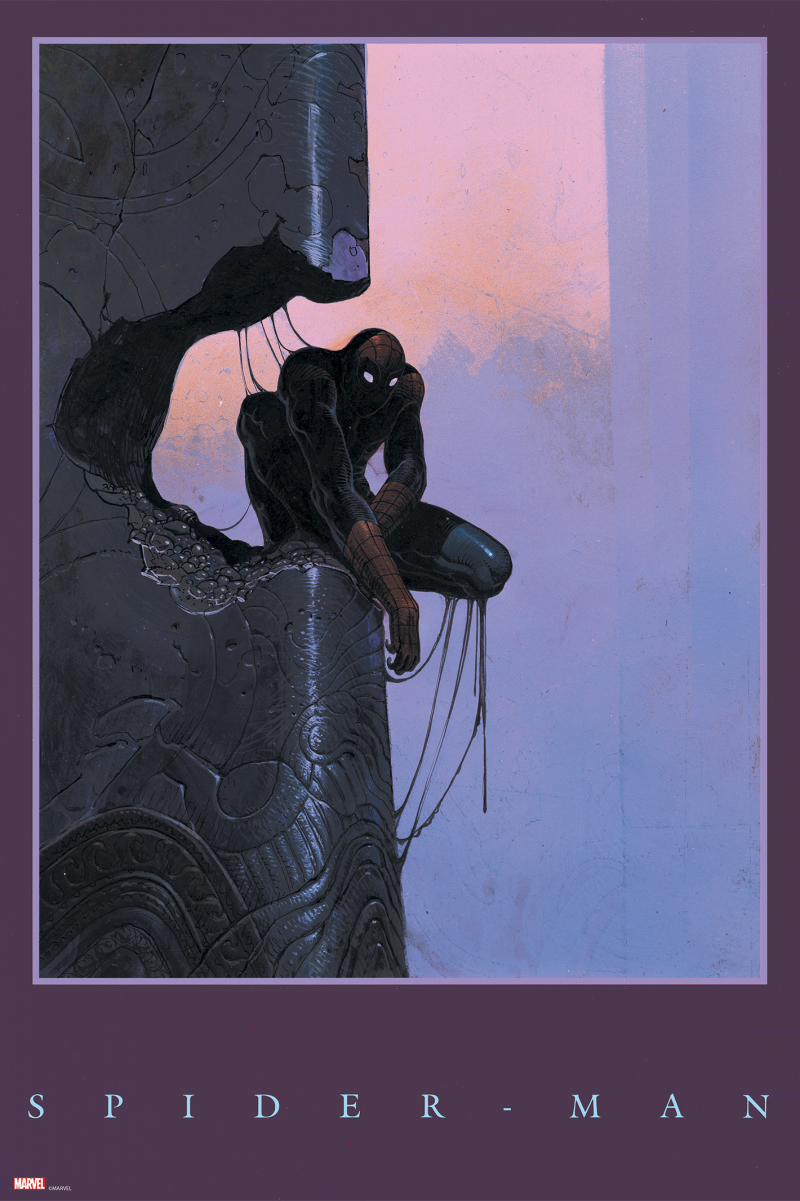 The Amazing Spider-Man #800 (Variant Edition) Art Print by Grey Matter Art