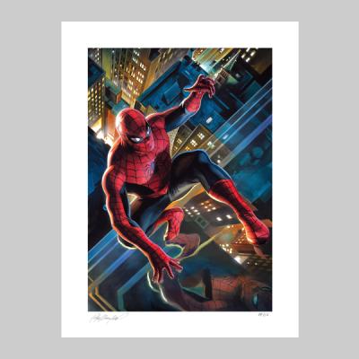 The Amazing Spider-Man art print