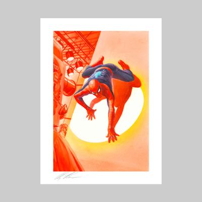 Dimensions: Spider-Man art print