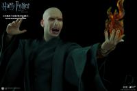 Gallery Image of Lord Voldemort Sixth Scale Figure