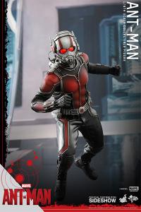 Gallery Image of Ant-Man Sixth Scale Figure