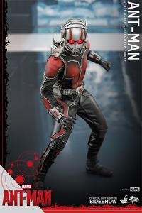 Gallery Image of Ant-Man Sixth Scale Figure
