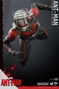 Gallery Image of Ant-Man Sixth Scale Figure