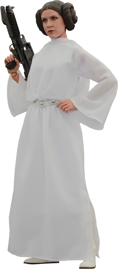 Download Star Wars Princess Leia Sixth Scale Figure by Hot Toys ...