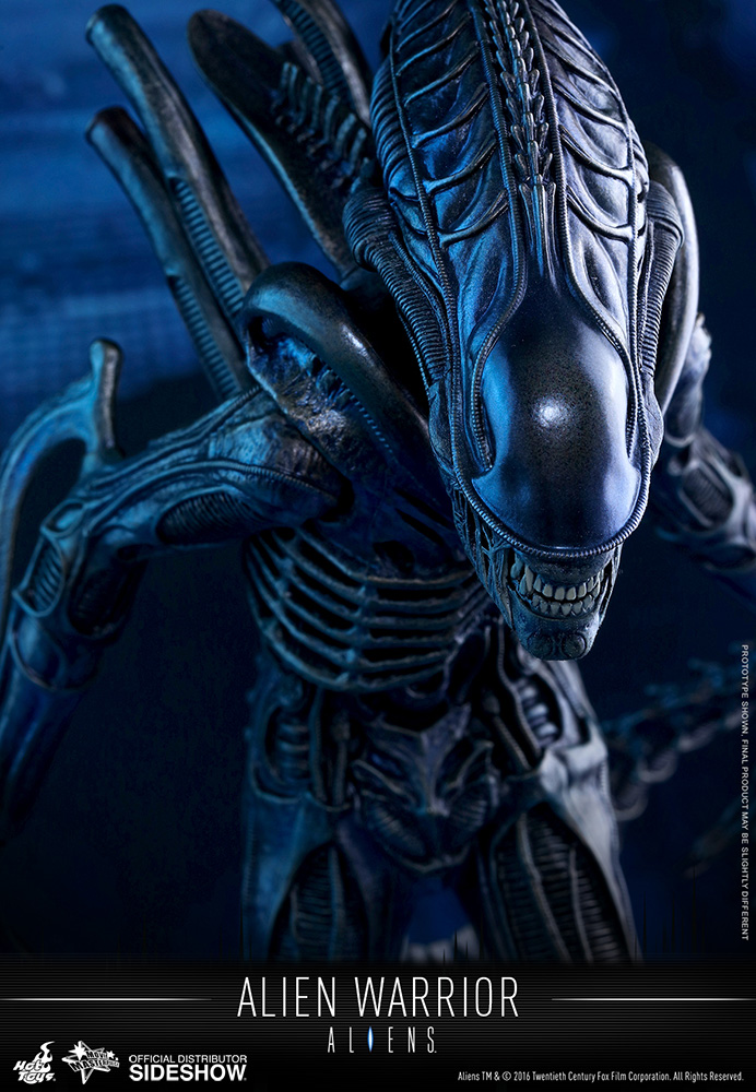 alien xenomorph warrior