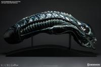 Gallery Image of Alien Warrior Blue Edition Life-Size Head Prop Replica