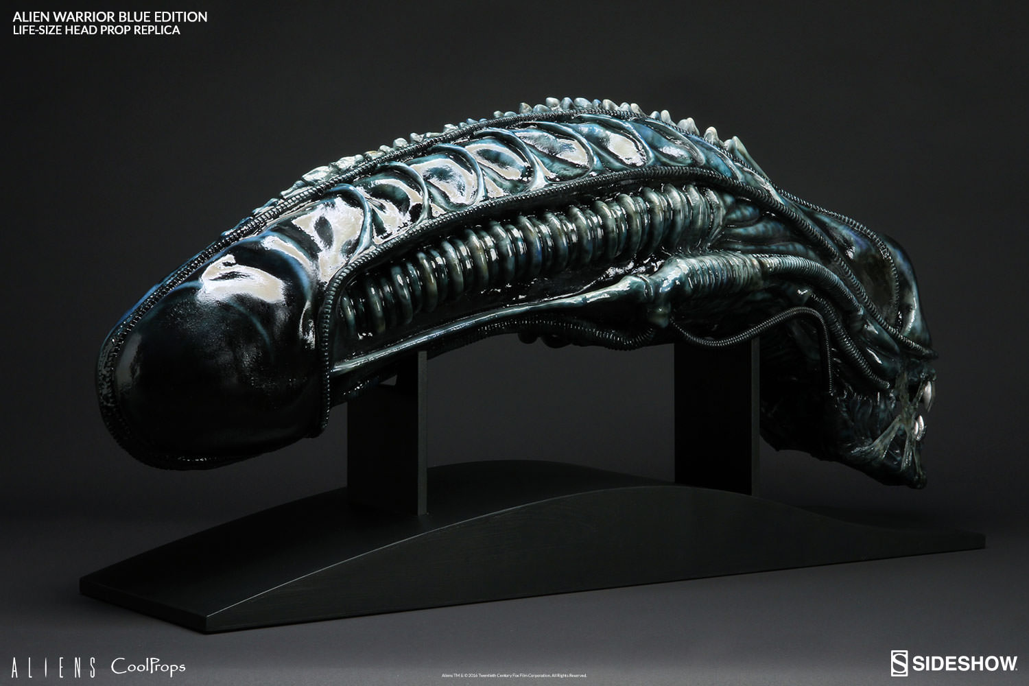 Alien Warrior Blue Edition Life-Size Head- Prototype Shown
